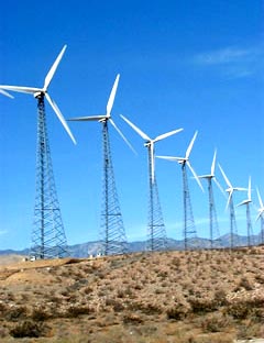 �������P(gu��n)�a(ch��n)Ʒ